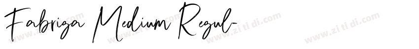Fabriga Medium Regul字体转换 Fabriga Medium Regul字体转换